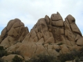 Joshua Tree NP